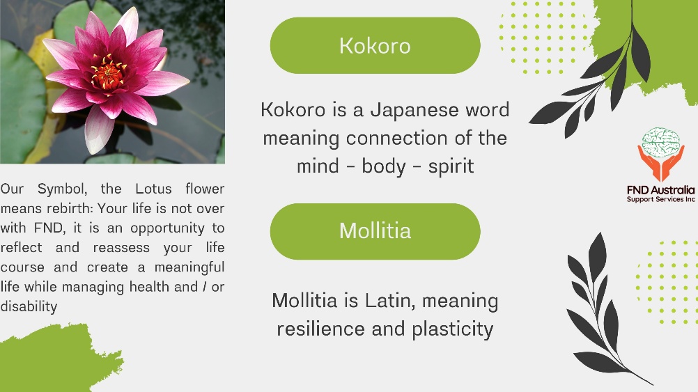 kokoro-mollitia-fndaus-wellbeing-program